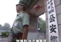 燕赵刑警全屏在线观看,全屏揭秘，刑侦风云再起