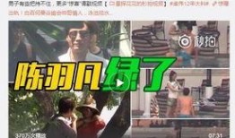 卓伟爆料白百何泳池视频,卓伟独家爆料引发热议