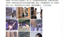 明星恋爱爆料合集视频,揭秘娱乐圈明星恋爱幕后故事