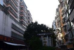 汕头龙湖爆料最新消息,揭秘神秘事件背后的真相