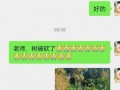 娱乐吃瓜君论文,揭秘娱乐圈幕后真相与八卦风云