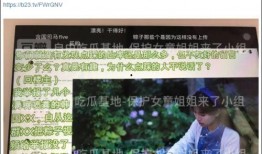 保利民宿爆料事件视频大全,揭露行业乱象背后的真相