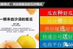 网红吃民勤蜜瓜,民勤蜜瓜，甜蜜滋味尽享舌尖之旅