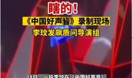 好声音国外爆料视频大全,揭秘国外爆料视频大全精彩瞬间